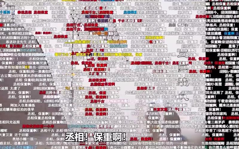 首张“职业弹幕人”罚单开出