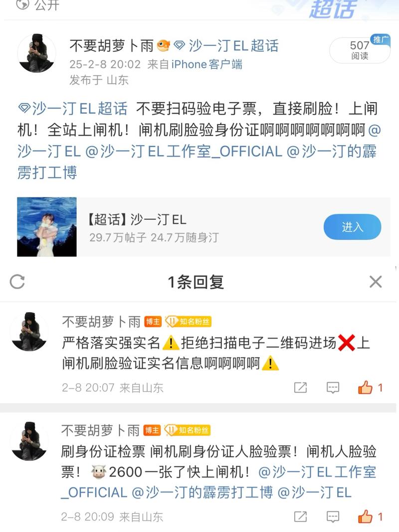 黄牛强推无票歌迷过检票闸机被拘