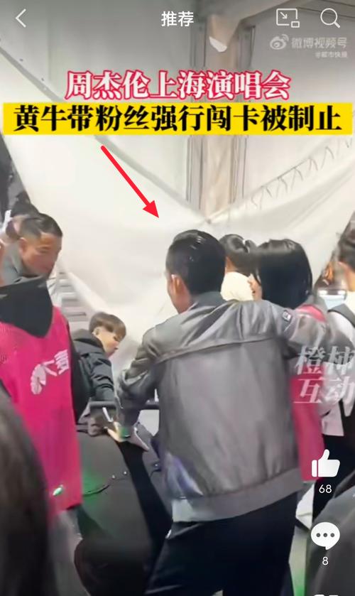 黄牛强推无票歌迷过检票闸机被拘