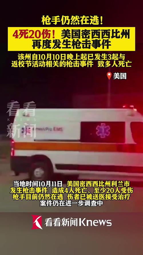 美国密西西比州发生枪击案致4死12伤