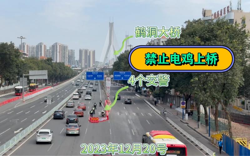 鹤洞大桥灯光“绿”到发慌？回应来了