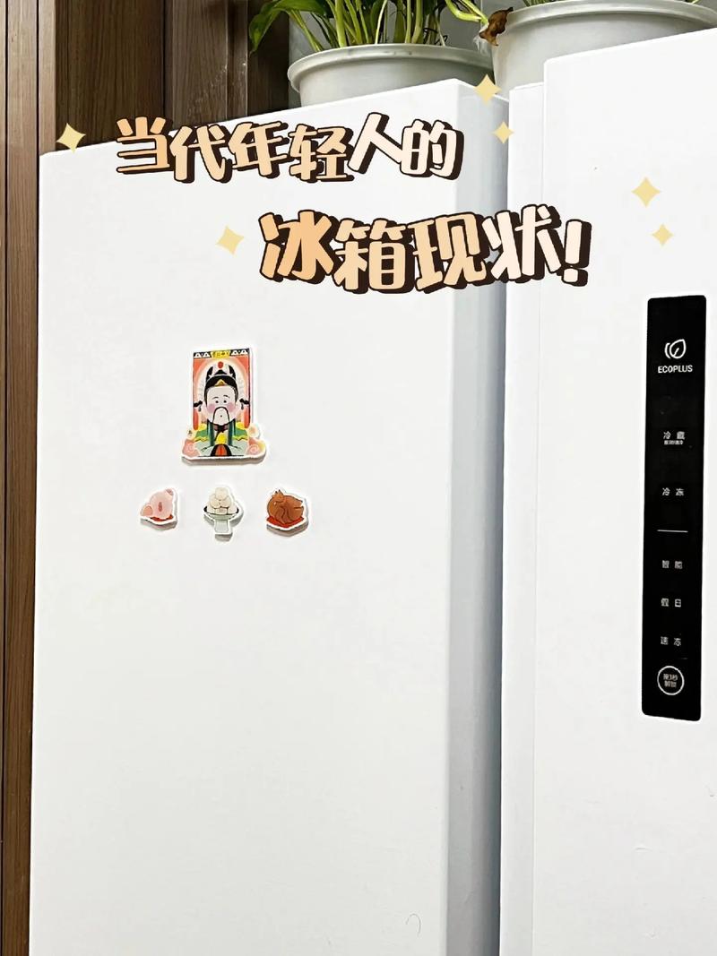 冰箱贴已经比冰箱贵了
