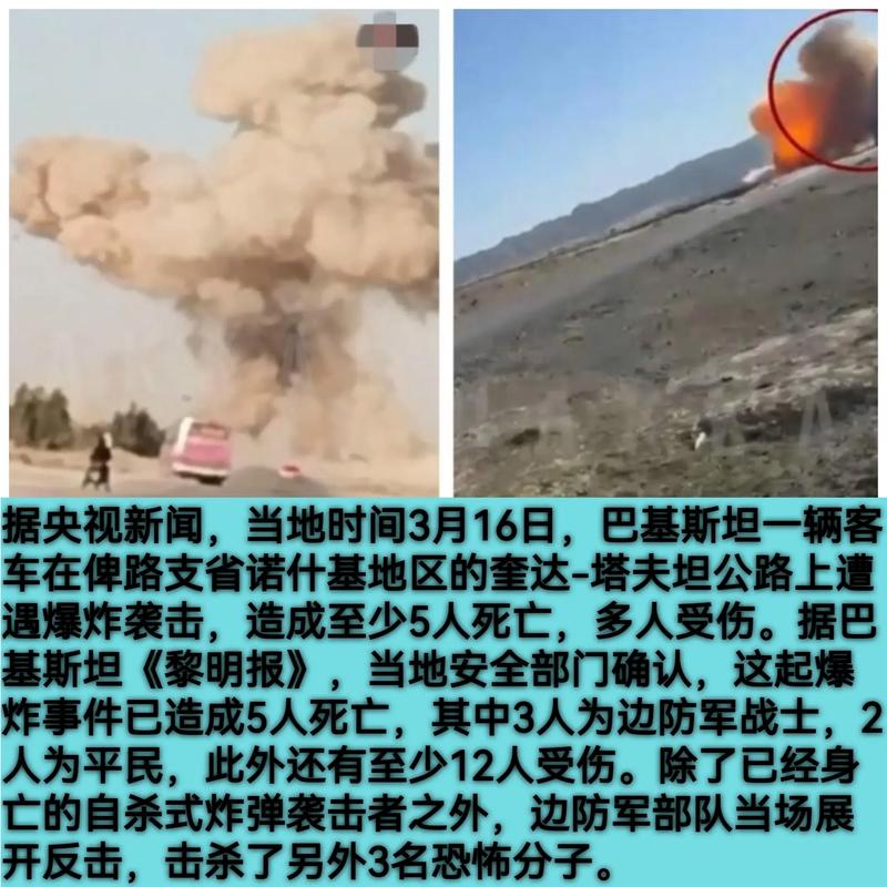 巴基斯坦军方：200余人在冲突中丧生