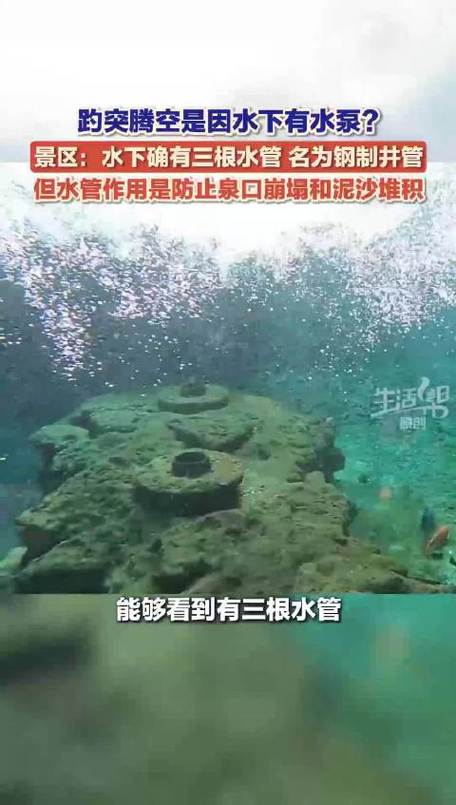 景区：趵突泉下没水泵但确有水管