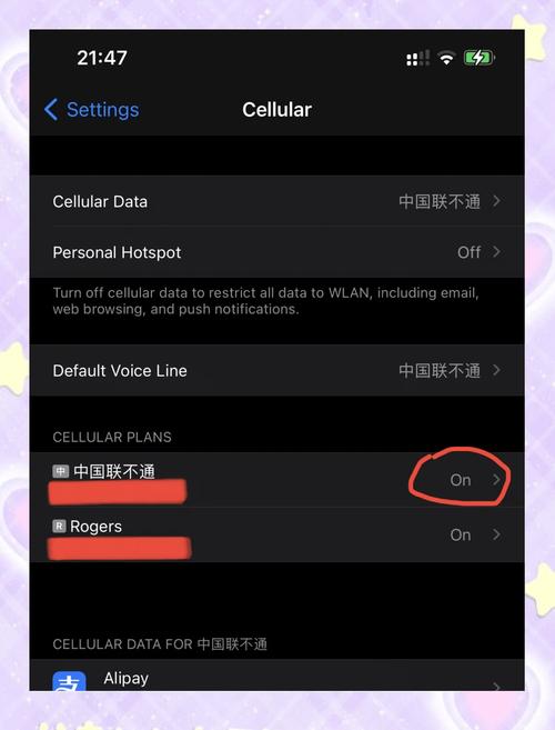 苹果手机如何给手机卡设置pin码