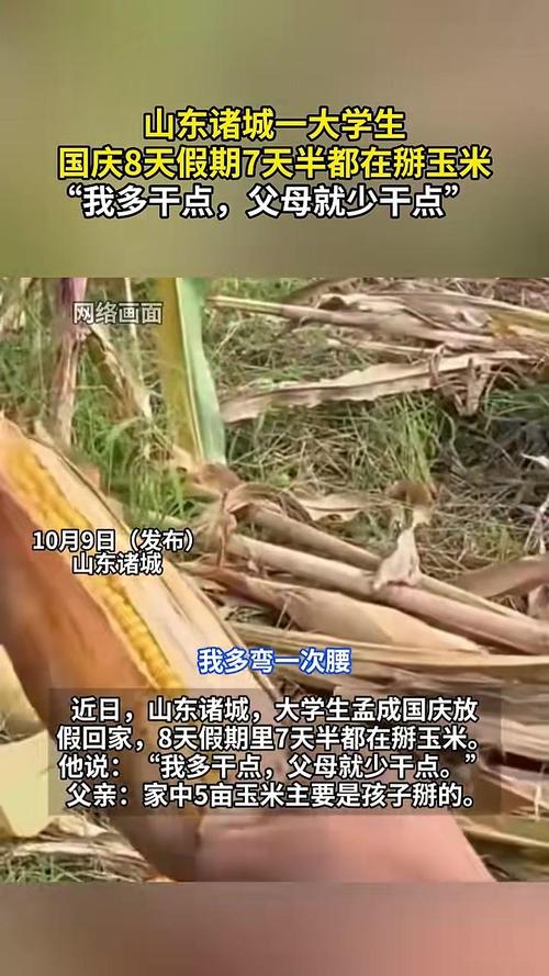 大学生8天假期掰了7天半玉米