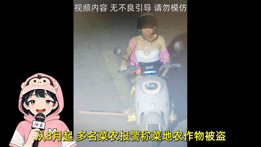 男子4个月偷菜18次获刑6个月