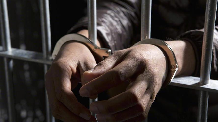 男子4个月偷菜18次获刑6个月