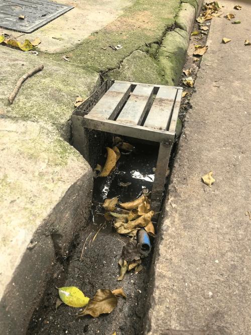 广州多区依法查处防蚊不力单位