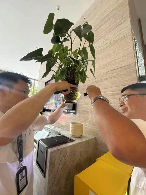 广州多区依法查处防蚊不力单位
