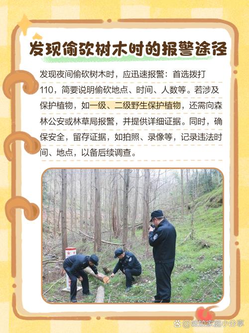 男子嫌古树挡光多次投毒
