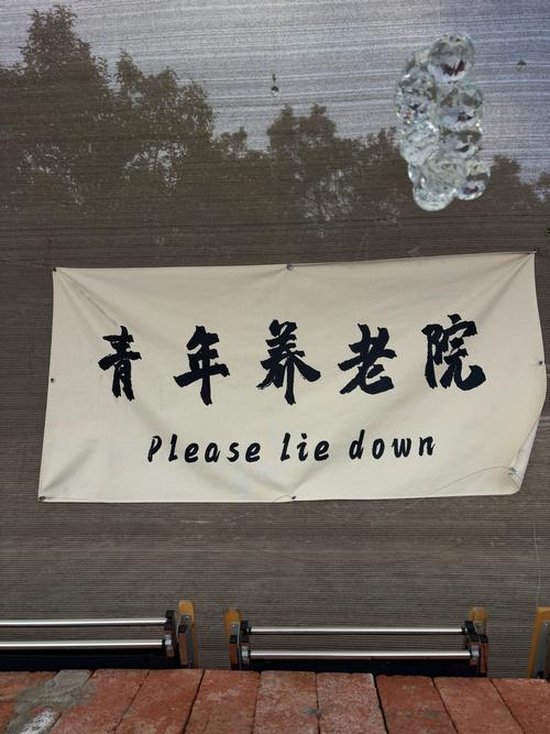养老院为何会成为年轻人的向往之地