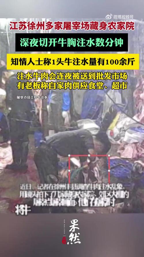 屠宰点藏身农家院 切开牛胸注水