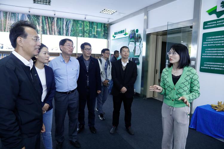 云南文山原专职委员杨琴被查