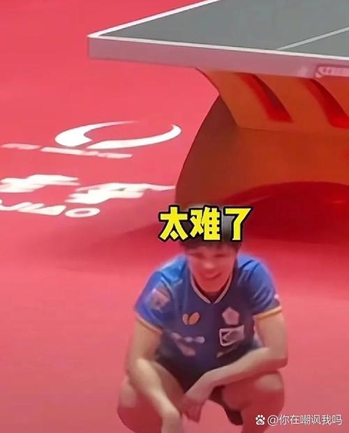 孙颖莎救球把球桌都撞移位了
