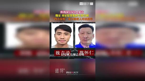 缅北魏家和刘家犯罪集团专案侦破