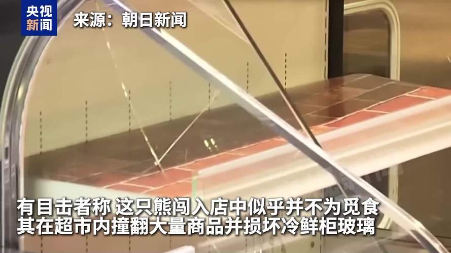 日本遭熊袭击死亡人数创新高