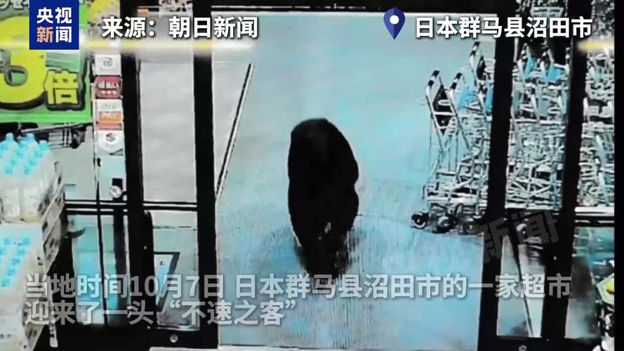 日本遭熊袭击死亡人数创新高