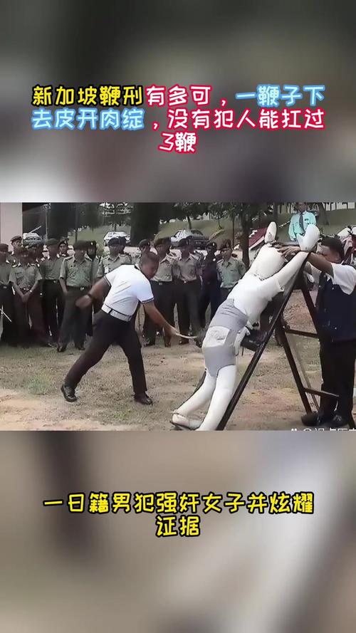 新加坡拟对电诈犯用鞭刑