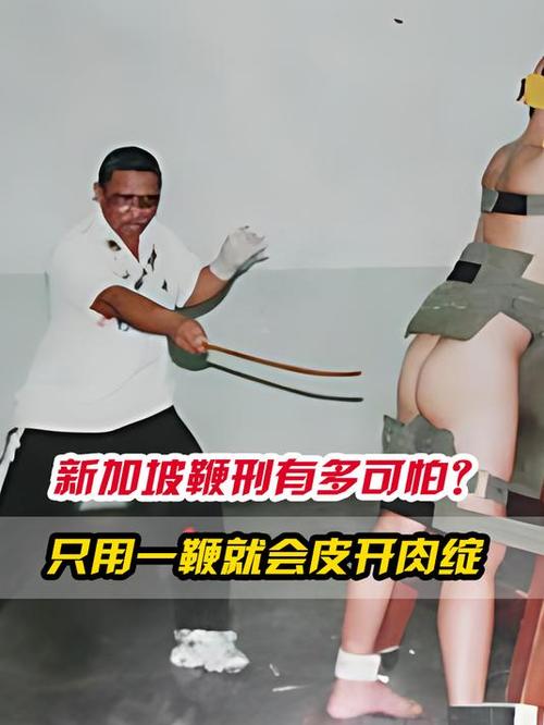 新加坡拟对电诈犯用鞭刑