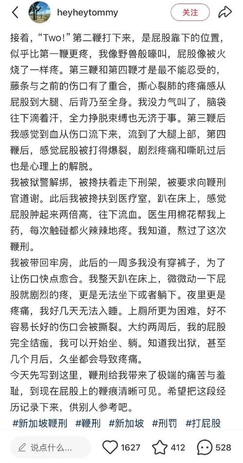 新加坡拟对电诈犯用鞭刑