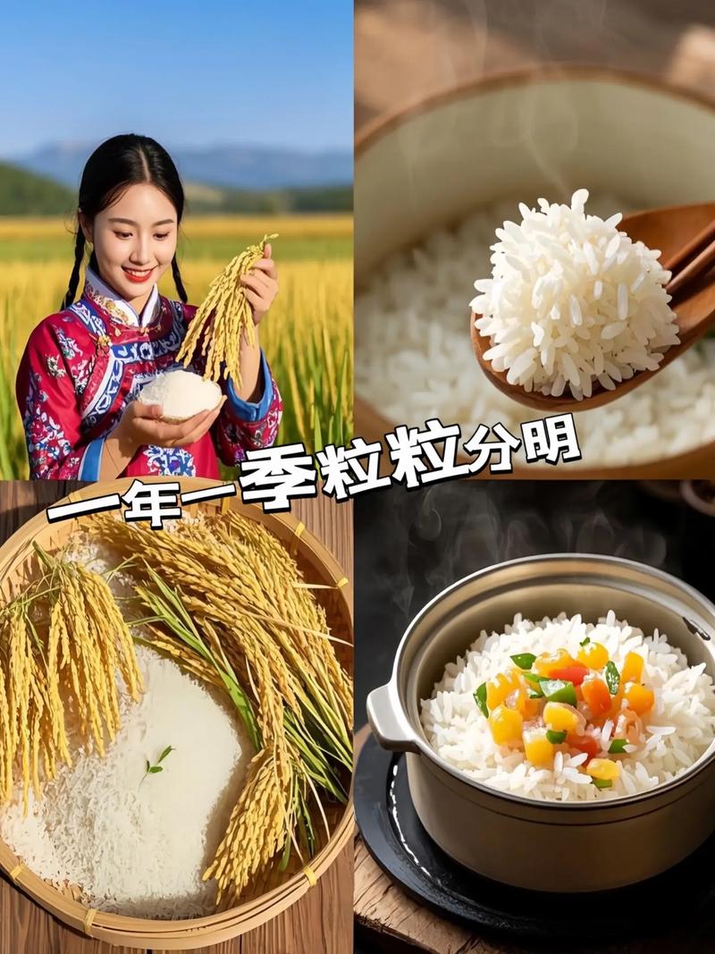 看中国如何守住每一粒米