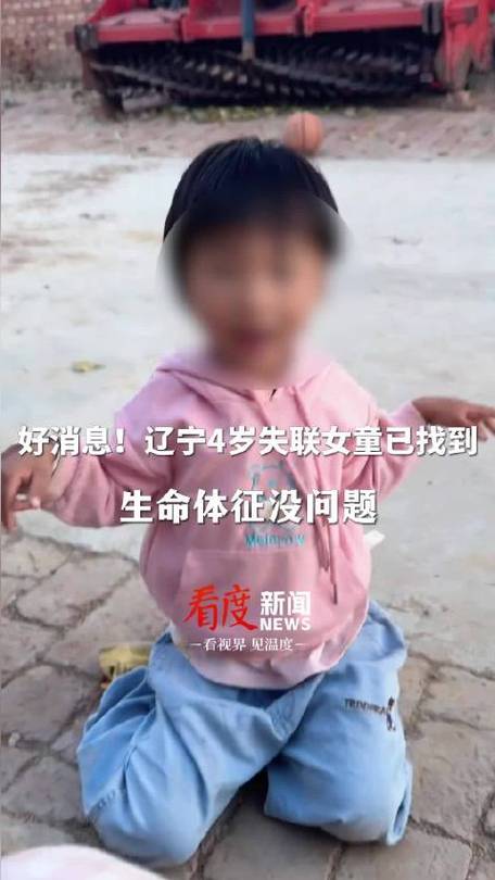 辽宁4岁女童翻车窗后失联 正搜救