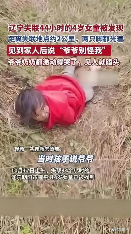 辽宁失联4岁女童已找到