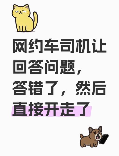 网约车司机中途赶客 乘客秒懂下车