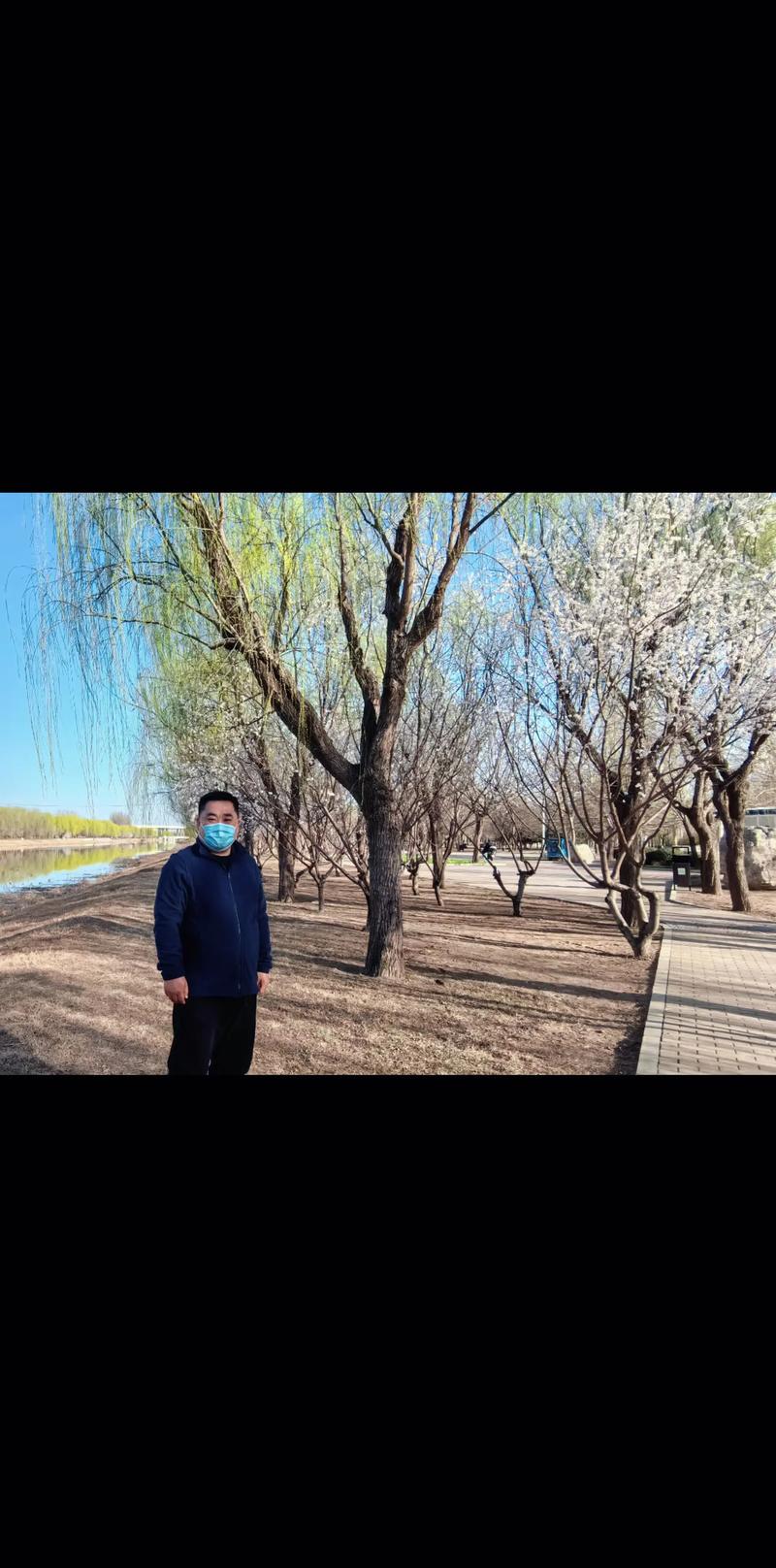 游客在朝阳公园大树上写诗