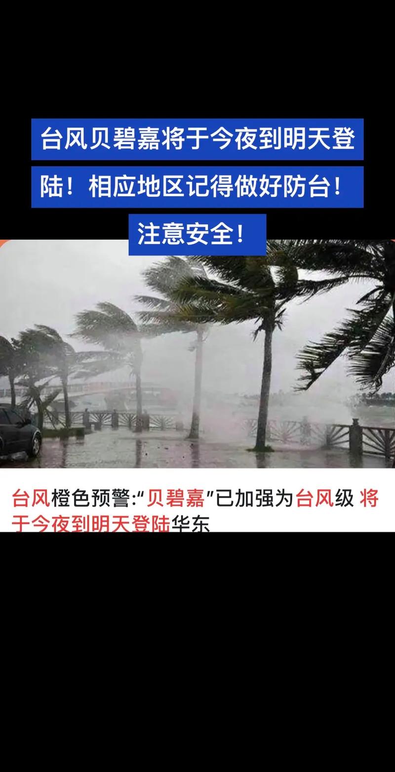 凌晨被雷声炸醒?新台风将影响上海