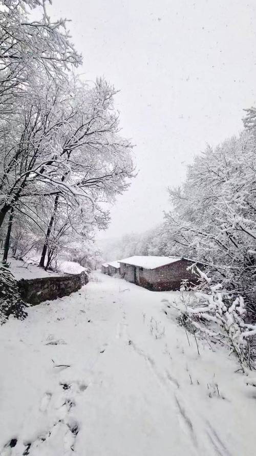 北京山区下雪了