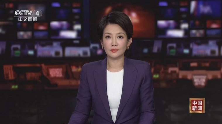 郑丽文当选中国国民党主席