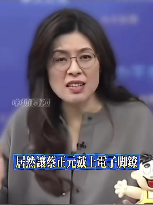 蔡正元勉励郑丽文:她任重道远