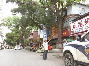 男子多次给220年古树投毒被控制