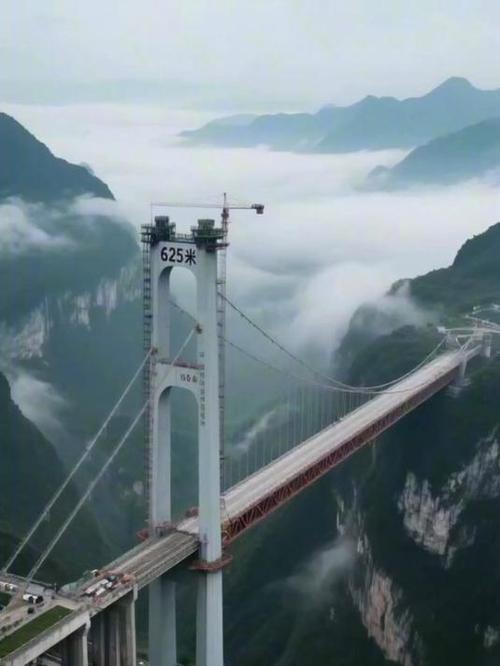 蹦极项目不用绳子 景区回应
