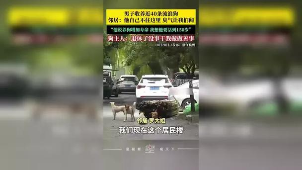 男子收养数十条流浪狗邻居苦不堪言