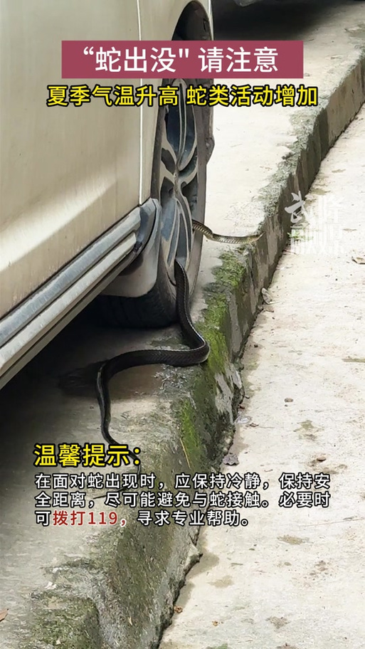驴友登山发现大量“蛇出没”告示牌