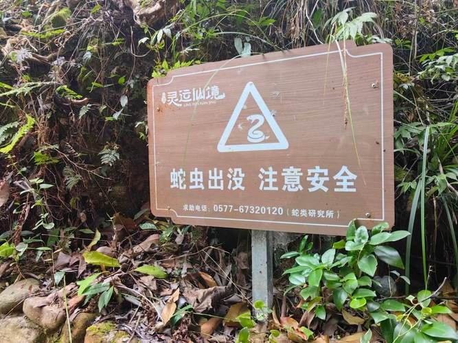 驴友登山发现大量“蛇出没”告示牌