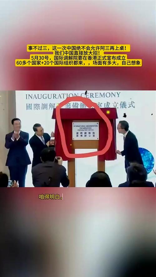 国际调解院正式成立