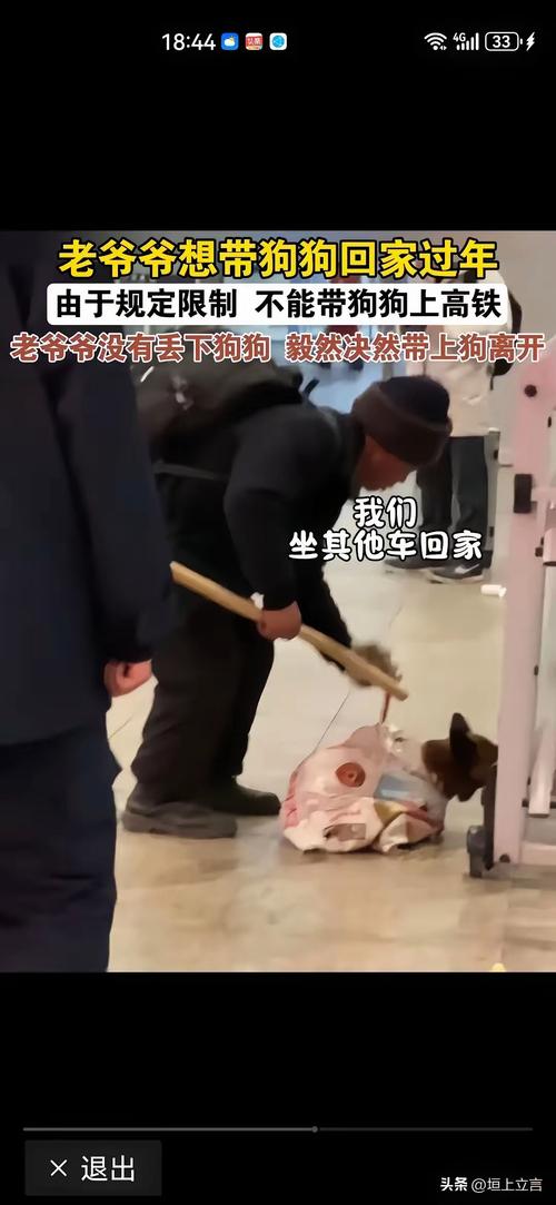 退休大爷把房子让给40条狗住