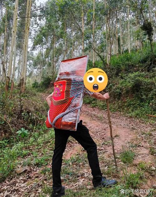 “下地干活式旅游”火了