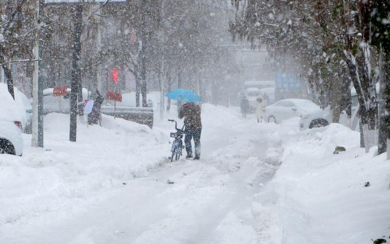 大雨暴雨大雪暴雪 即将上线
