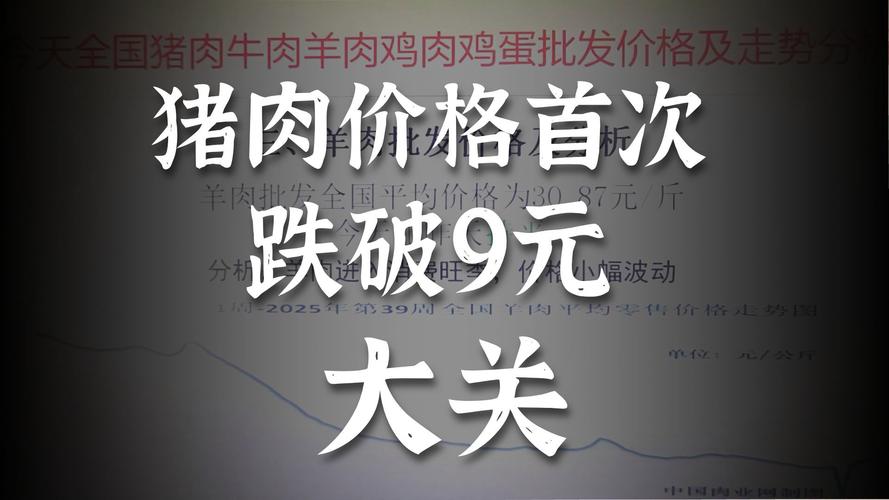 今年的猪肉为何这么便宜