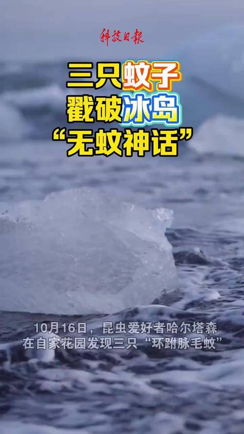 冰岛首次发现蚊子