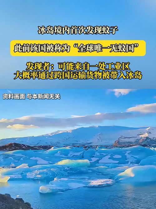 冰岛首次发现蚊子