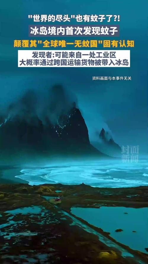 冰岛首次发现蚊子