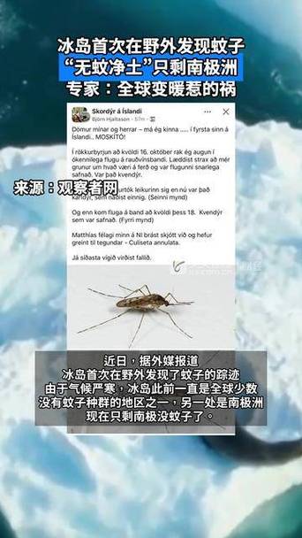现在只剩南极没蚊子了