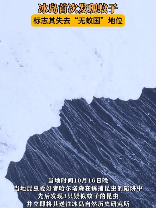 现在只剩南极没蚊子了