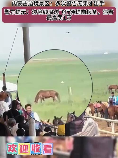 主人称马被箭射死：怀疑是无人机投射